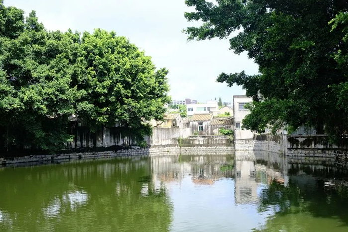 8月21日拍摄的东湖社区浏览线路一景。新华社记者 胡梦雪 摄