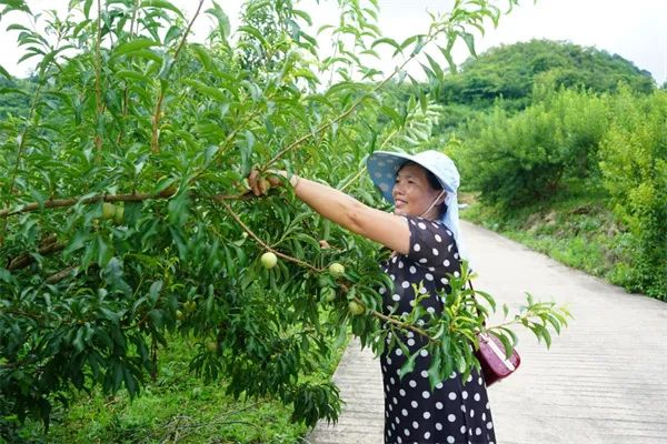 （图片来源：新华网）