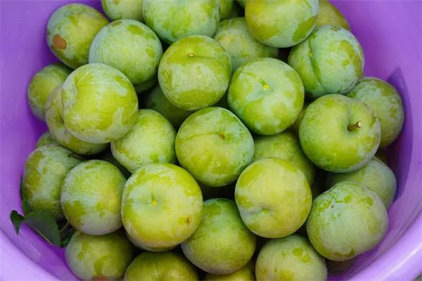 （图片来源：上游新闻）