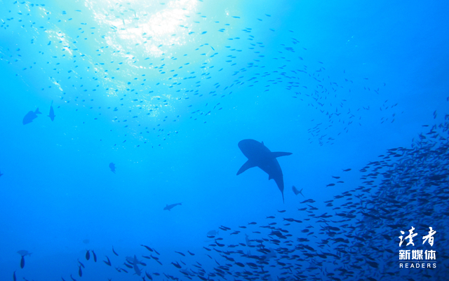 来源：全景视觉