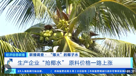 图片来源：央视财经