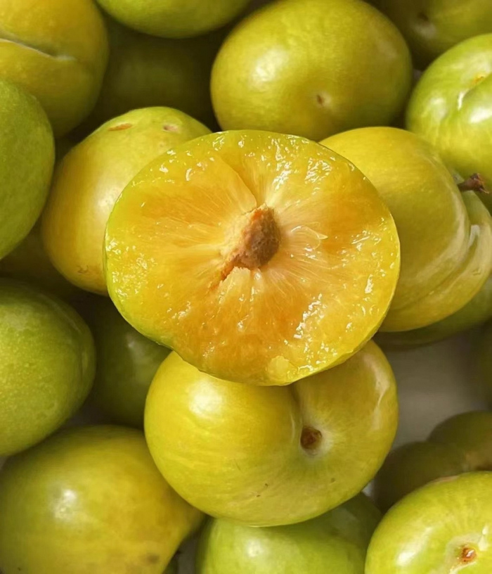 （图片来源：上游新闻）