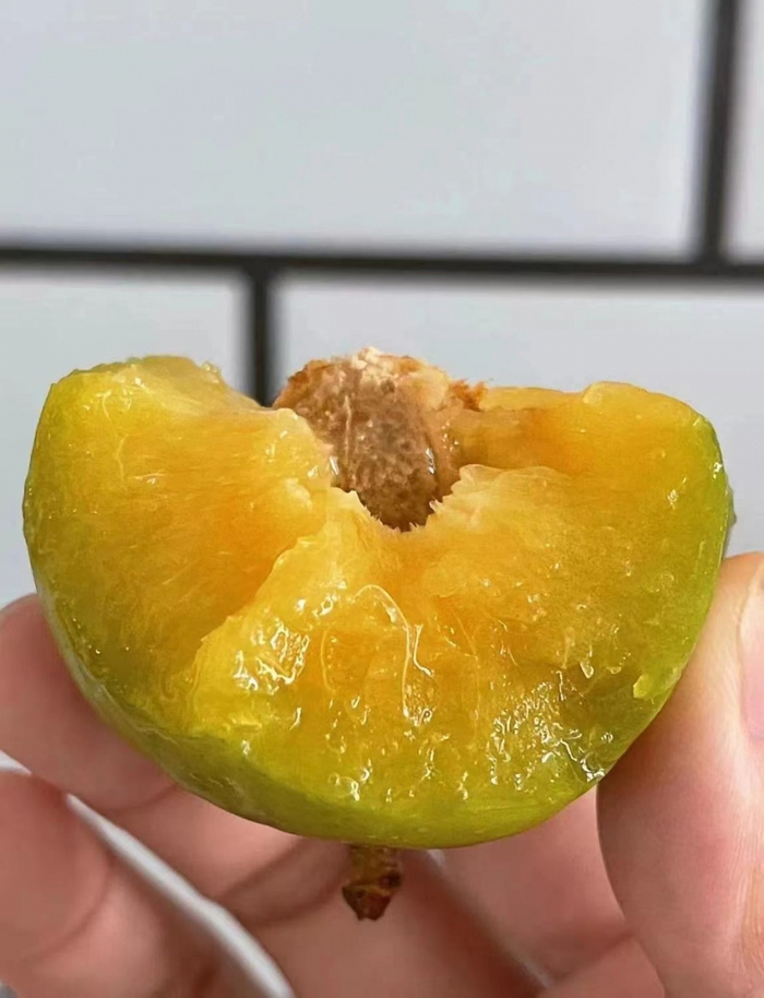 （图片来源：上游新闻）