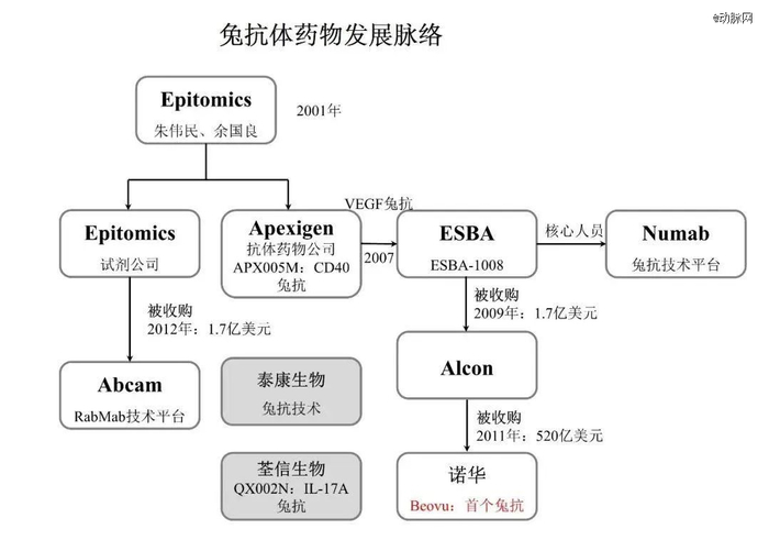▲兔抗药物相关企业早期发展脉络（来源：生物制药小编）