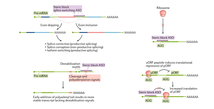 来源：爱赛生物