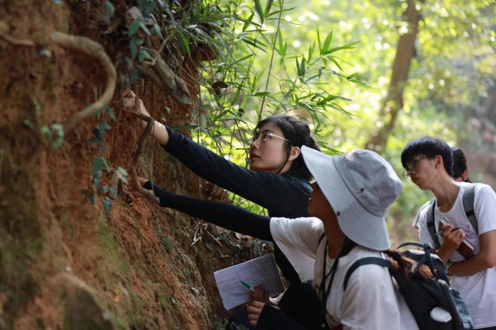 南京大学杨琳教授