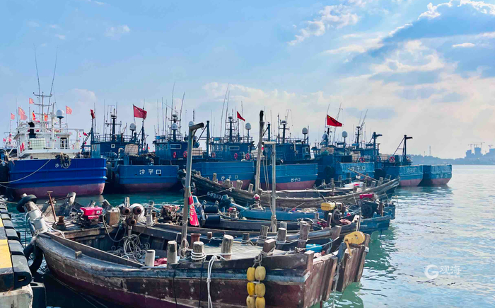 沙子口中心渔港，等待开海的渔船。本版摄影 栾丕炜