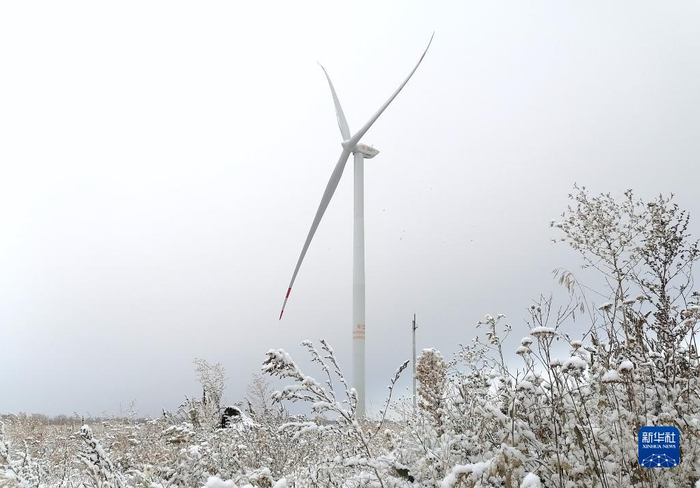 哈萨克斯坦科斯塔奈州50兆瓦风电项目（2020年10月22日摄）。新华社发