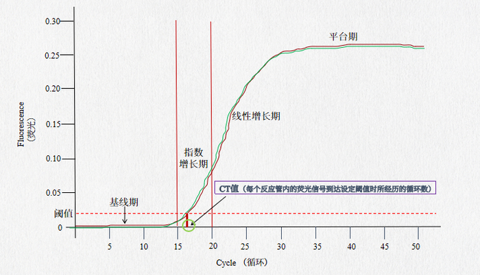 图注：扩增曲线示例图。手绘版本，仅供理解使用。