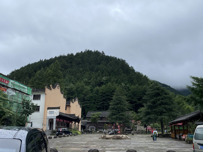 庆元县百山祖国家森林公园 每经记者 李玉雯 摄