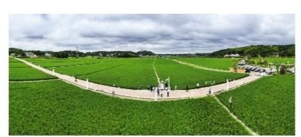     长沙市粮食生产“四高”试验示范区“种业+农旅”数字田园示范项目