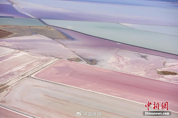 美国犹他州大盐湖呈现梦幻般的色彩。来源：中新网