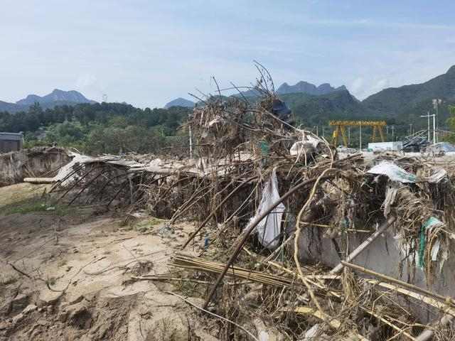 9月1日，大棚还留有洪水冲过的痕迹。新京报记者 周怀宗 摄