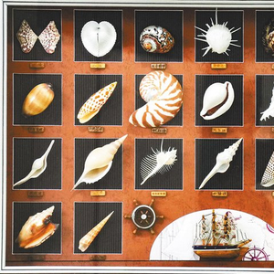 黎族文化展廳_海南熱帶海洋學院是幾本_海南熱帶海洋學院南海文化博物館