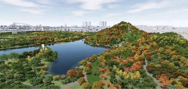 双子山 图源：澎湃新闻‍‍‍