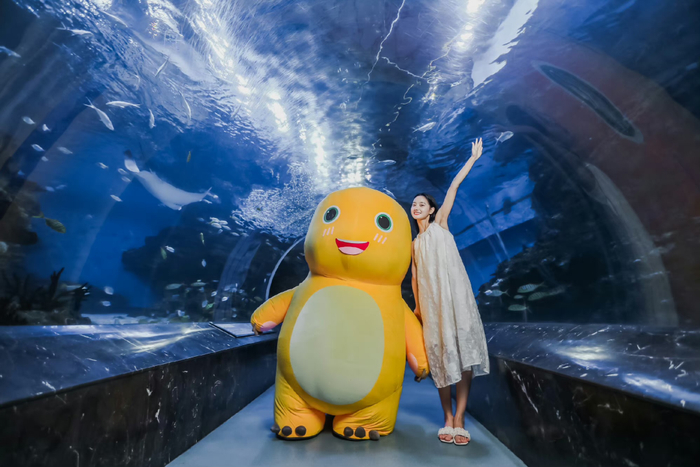 图源：@成都极地海洋公园