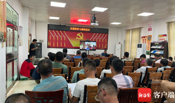 9月5日，三亚市热带农业科学研究院在崖州区水南村举行水稻制种与栽培技术培训。三亚热科院供图