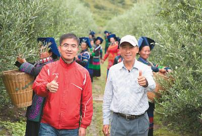 林春福、林书任父子走在橄榄园田地间。受访者供图