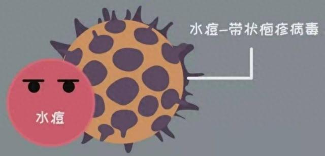 （图片来自网络）