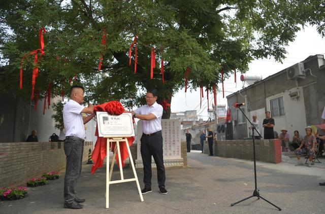 9月6日，大兴区长子营镇举行古槐树揭牌仪式。新京报记者 李木易 摄