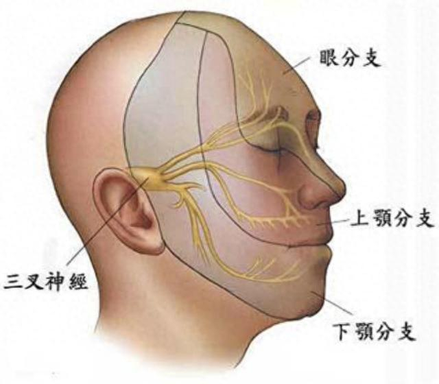 （图片来自网络）