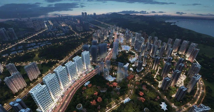 （项目效果图）