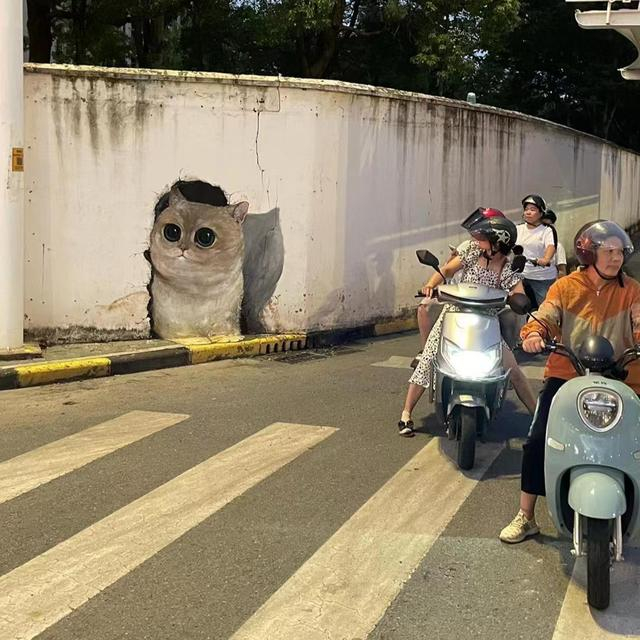 ▲“葛多多不多”画的猫咪墙绘