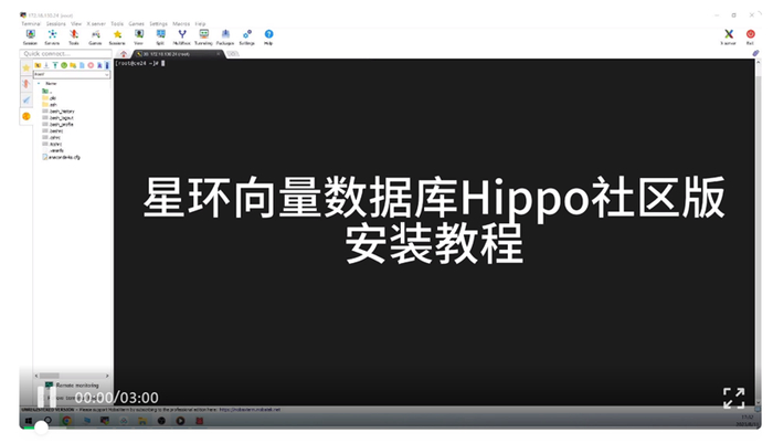 Hippo社区版安装教程