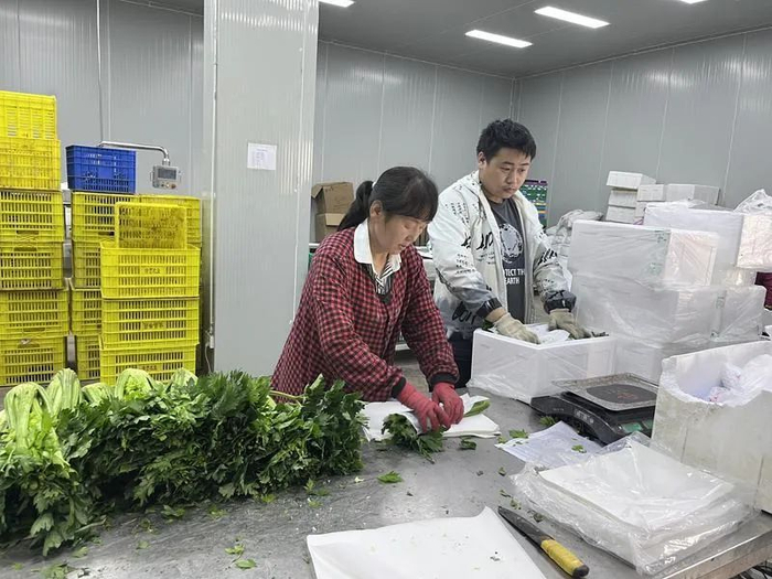 在太白县绿蕾现代农业园区，车间里的工人正打包运往大湾区的蔬菜。记者 段承甫摄