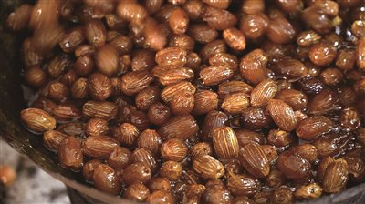 刚刚出锅的蜜枣