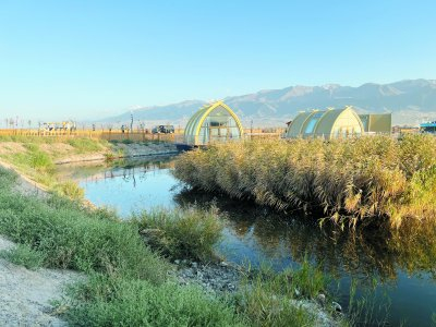     ▲哈密市巴里坤县高家湖湿地景区。中国妇女报全媒体记者 肖婷/摄