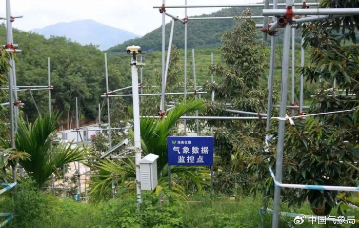 榴莲基地里的气象监测设备 图片来源：三亚市气象局 