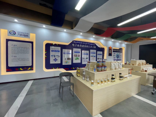 （乃东区农村电商公共服务中心）