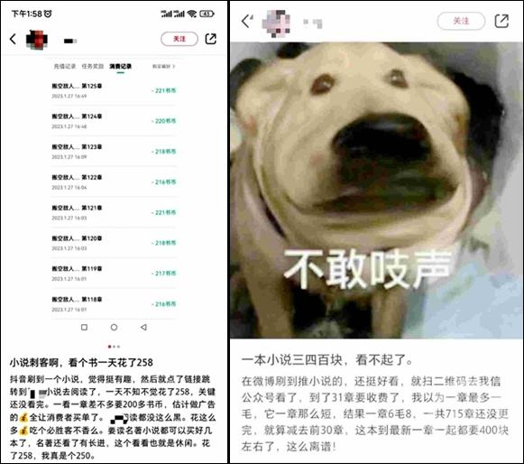 ▲不少人吐槽网络小说越来越贵了。  图片来源/网络