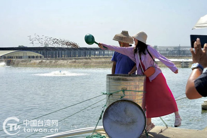 两岸媒体人参访鲔丰水产有限公司（图片来源：广西台办）