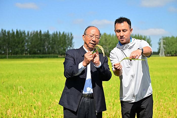 　　(图为谢华安院士与科迈种业总经理张伟顺 基地观察闽龙1号)