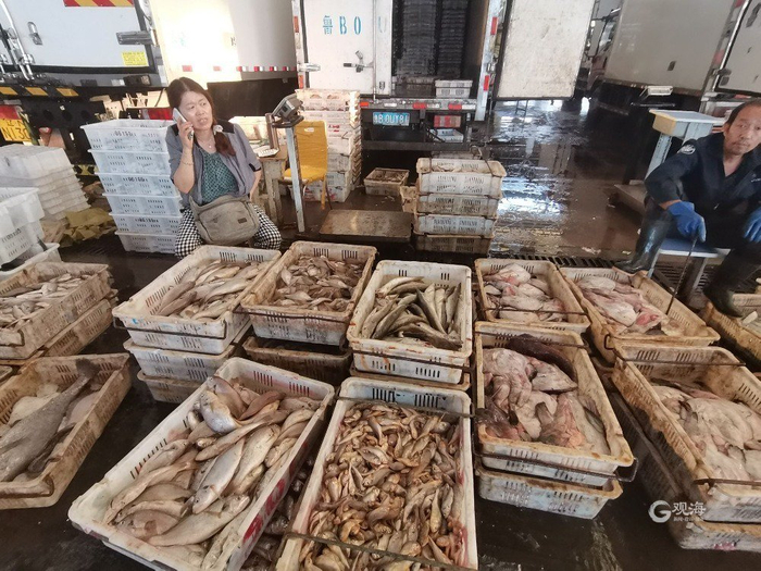 城阳水产品批发市场海鲜种类繁多。