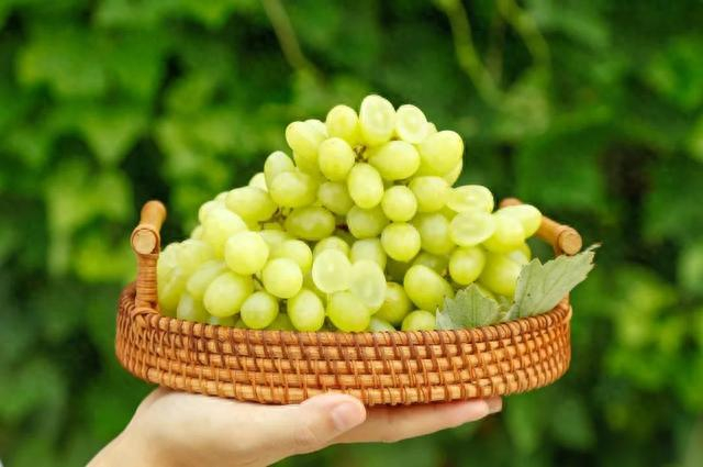 图库版权图片，转载使用可能引发版权纠纷