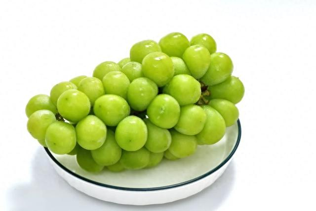 图库版权图片，转载使用可能引发版权纠纷