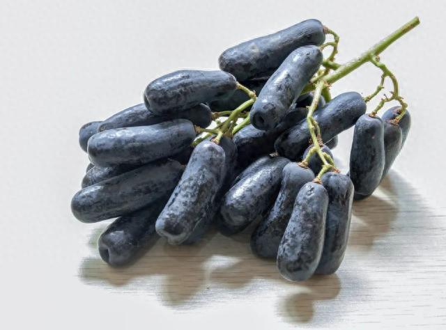 图库版权图片，转载使用可能引发版权纠纷