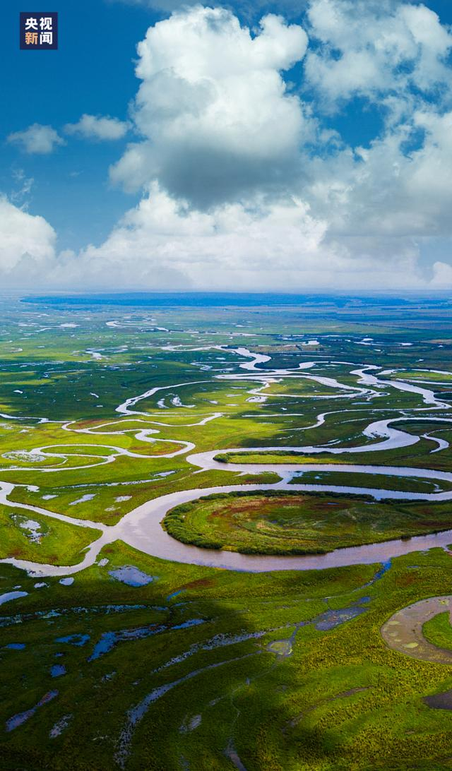 △挠力河在湿地中蜿蜒，形成形状各异的河曲。