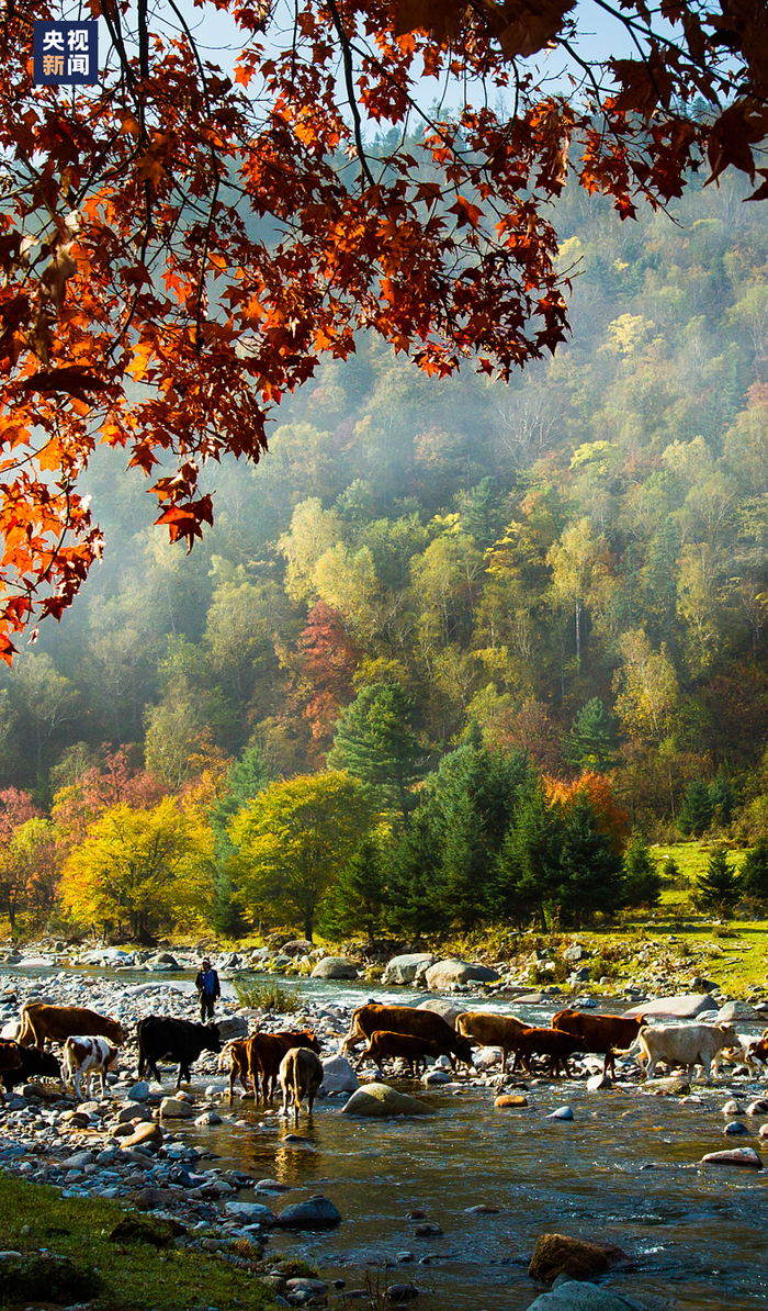 △伊春大箐山县朗乡风光