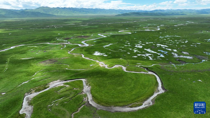 　　这是玛曲县阿万仓湿地景色（7月6日摄，无人机照片）。新华社记者 陈斌 摄