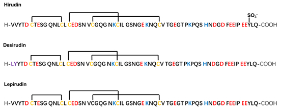 图5 水蛭素与类似物地西卢定、来匹卢定的结构比对