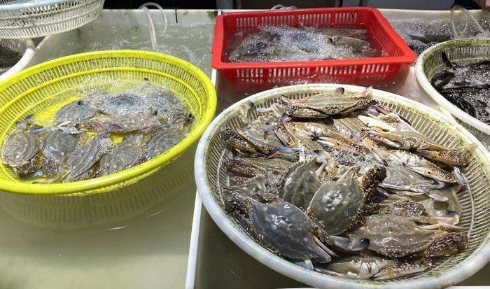 杭州凤起农贸市场目前没有大闸蟹，梭子蟹倒是很多。记者 徐婷 摄