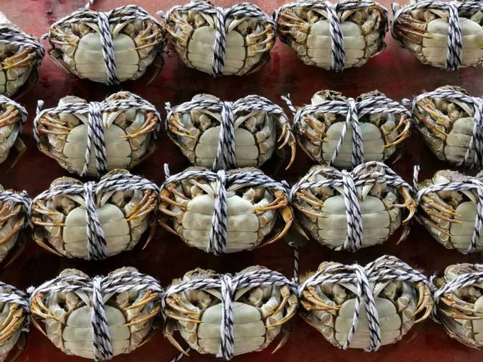 长兴洪桥有才家庭农场近日销售的母蟹。受访者供图