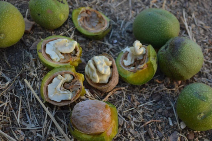 （图片来源：新华网）