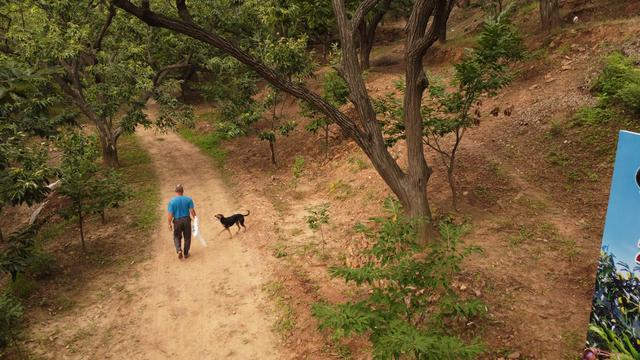 新立庄村外的山上，一位老人走过，如今留在村里的大多数都是老人。新京报记者 周怀宗 摄