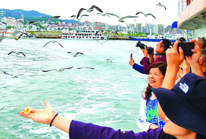 游客从刘公岛客运中心乘船出海，投喂海鸥。