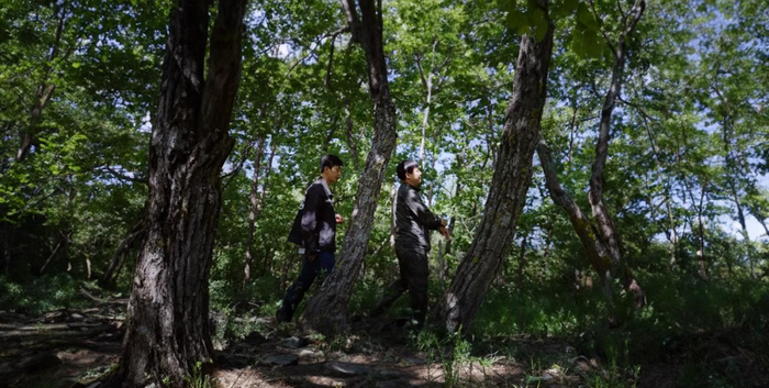 卢小开和伙伴在林间